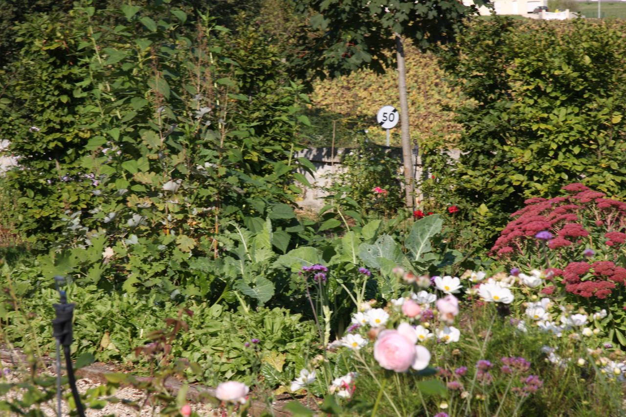 Chateau Manoir De La Leche Touvre Eksteriør bilde